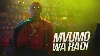 alikiba mvumo wa radi official music video 
