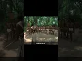 This is how kunta kinte died in slavery