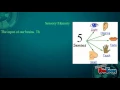Information Processing Theory