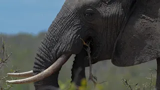 Dji Mavic 3 Cine Nikon Z9 Enduring Hope Daniel Deuschle 