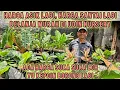 Download Lagu HARGA ASIK LAGI, HARGA SANTAI LAGI, KOLEKSIAN JUMBO BERKUALITAS \u0026 ADA HARGA SUKA SUKA LOH 