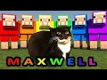 Maxwell The Cat COLORS MINECRAFT Speedrunning Spinning Animation not 360 VR REUPLOADED
