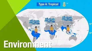 The Koppen System