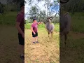 Download Lagu Saying goodbye to a Kudu!  #africa #animals#travel #africananimals #kudu #fairytales #wildlife #wow