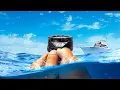 Download Lagu De eenvoudige kompastechniek om onder water te navigeren