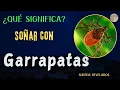 Que significa SONAR con GARRAPATAS - Interpretacion de los Suenos