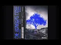 Download Lagu Braaheim, ILYAA Feat. EMMY - The Hanging Tree