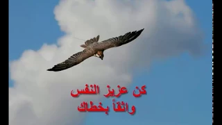 مقطع شعر كن عزيز النفس واثقا بخطاك 