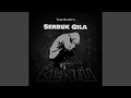 Download Lagu Serbuk Gila