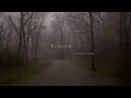 Taylor Swift - Haunted (Taylor's Version) (Lyric Video)