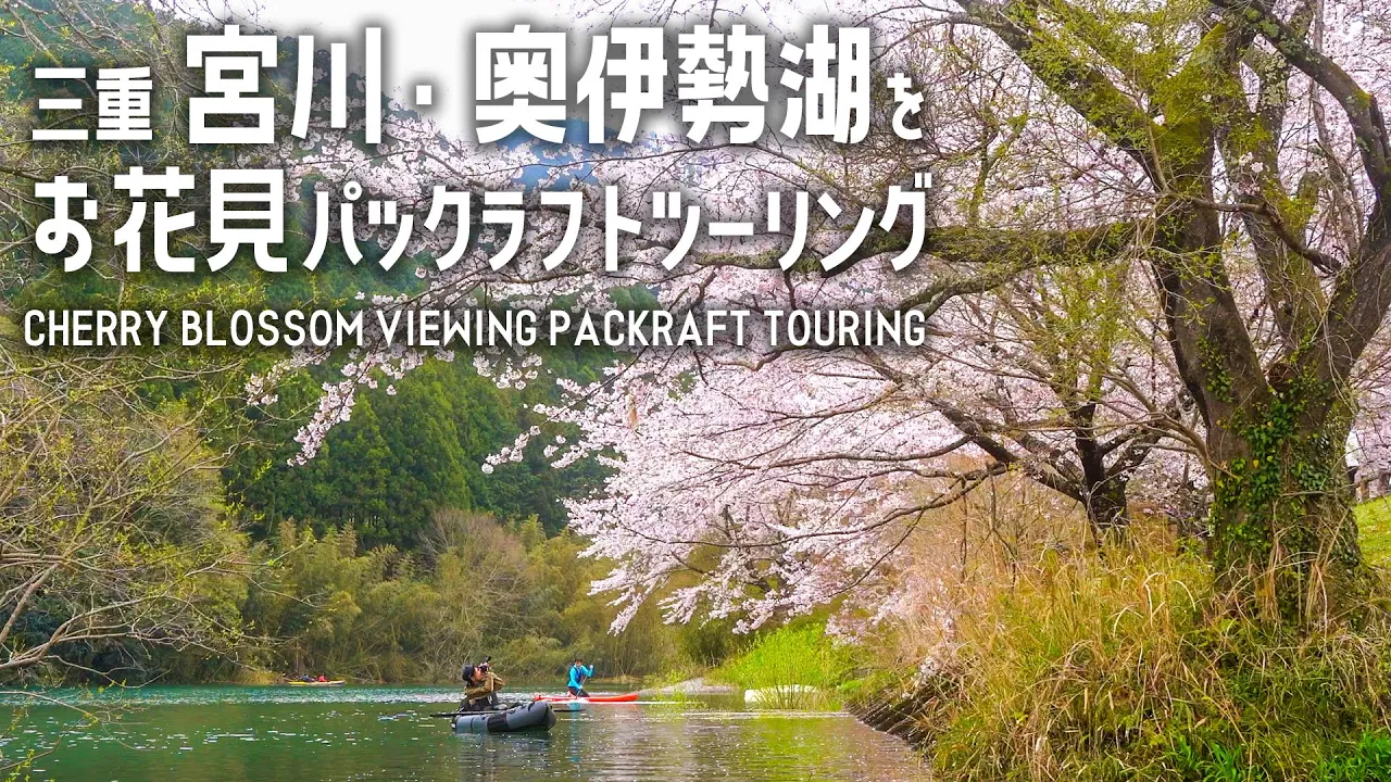 【パックラフト】青い川に桜🌸宮川・奥伊勢湖でお花見パックラフトツーリング