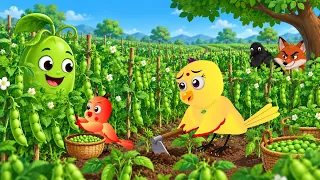 चिड़िया की मटर Peas की खेती|tony chidiya kahani achha achha ranu chidiya cartoonspicture
