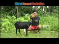 Download Lagu Buset - Ba Akolai