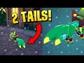 How to Get 2 Tails in Feral Fer al Double Tail Beginner Tutorial