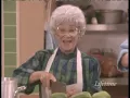 The golden palace S1 Pilot episode