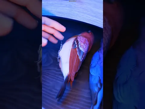 #bts