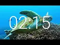 3 Minute Timer with Relaxing Music and Alarm