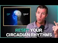 Lagu How to Reset Your Circadian Rhythms to 10X Your Sleep (Chinese Body Clock)
