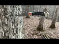 Buck 110 in the Woods