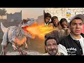 DINOSAUR NY SAB KO JALA DEA 😨