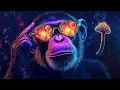 Download Lagu Dark Monkey Music ' High Tech Minimal ' Radio | Melodic Techno \u0026 Progressive House Music 24/7