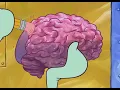 Squidward Erases his brain