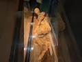 Lagu Ancient Egyptian mummy on display. #ancient #mummy #egypt #ancienthistory