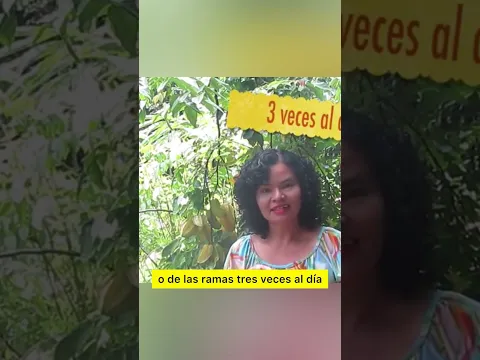 Elimina verrugas con el látex de la higuera