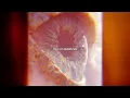 MOSKA - RESPIRA
