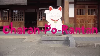 チャラン・ポ・ランタン / 猫の手拝借