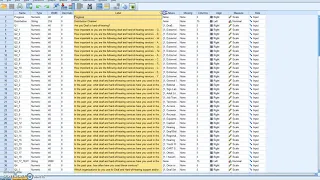 SPSS Tutorial Recoding into the Same Variables