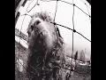 Dissident (Remastered)