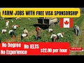 Farm Jobs in Canada with Free Visa Sponsorship No Experience No Education No IELTS Apply NOW