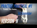 A P PRACTICE PRACTICAL 1st Semester Practice Practical Version H