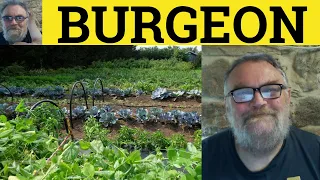 Burgeoning Meaning - Burgeon Examples