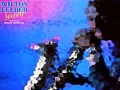 Download Lagu NO MATTER HOW HIGH I GET - Wilton Felder f Bobby Womack \u0026 Altrinna Grayson