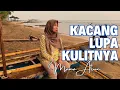 Download Lagu Kacang Lupa Kulitnya - Ine Sinthya || cover by Mama Atun