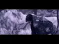 Cem Adrian - Sen Gel Diyorsun (Öf Öf)