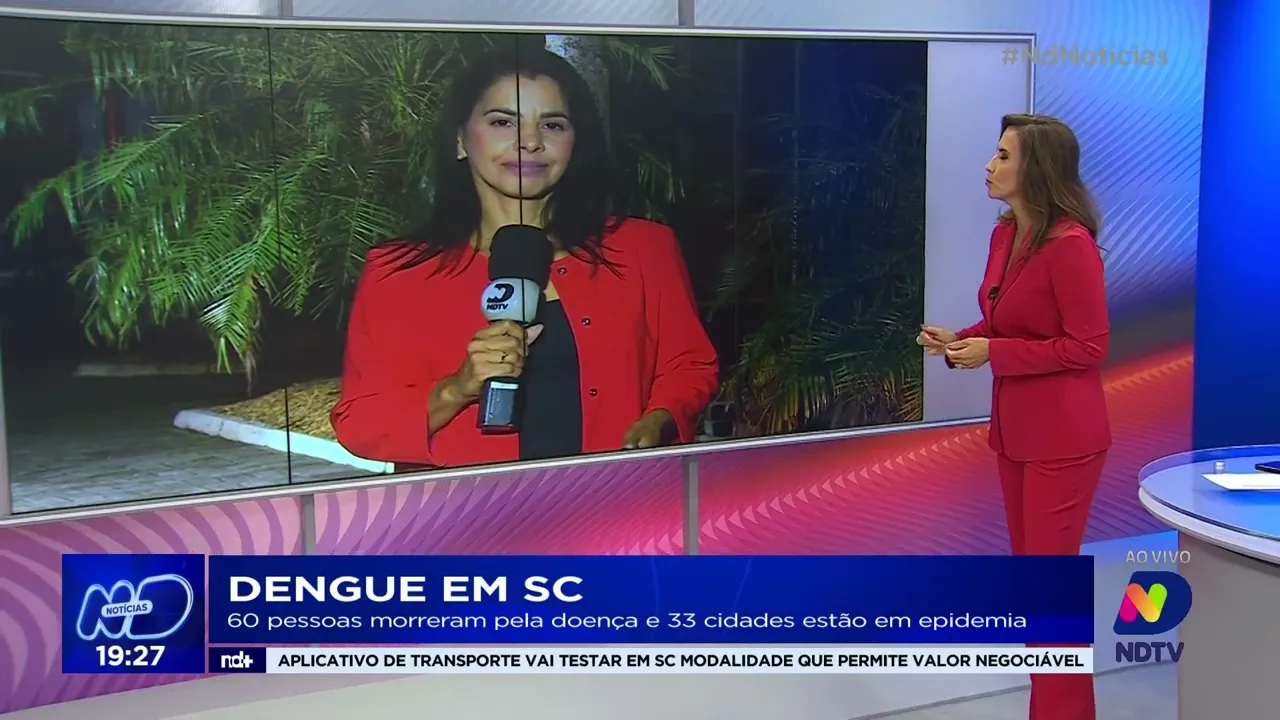 Dengue em SC: 60 pessoas morreram pela doença e 33 cidades estão em epidemia