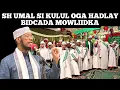 Sh Umal Oo Kulul Uga Hadlay Bidcada Mwoliidka