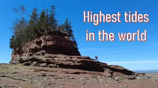 Highest tides in the world! Burntcoat Head, Bay of Fundy