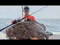 Download Lagu SAMBARAN GANAS IKAN-IKAN BESAR ❗️❗️LUWUK SURGANYA MANCING || MR NICE GUY ( 1 )