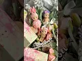 Download Lagu sonny angel cherry blossom 🌸 #unboxing #sonnyangelunboxing #hanami #sakura #secret #blindbox #asmr