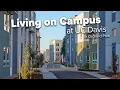 Living on Campus at UC Davis in Orchard Park