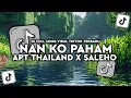 Download Lagu DJ NAN KO PAHAM X APT THAILAND X MELODY SPECTRE X SALEHO FULL SONG VIRAL TIKTOK