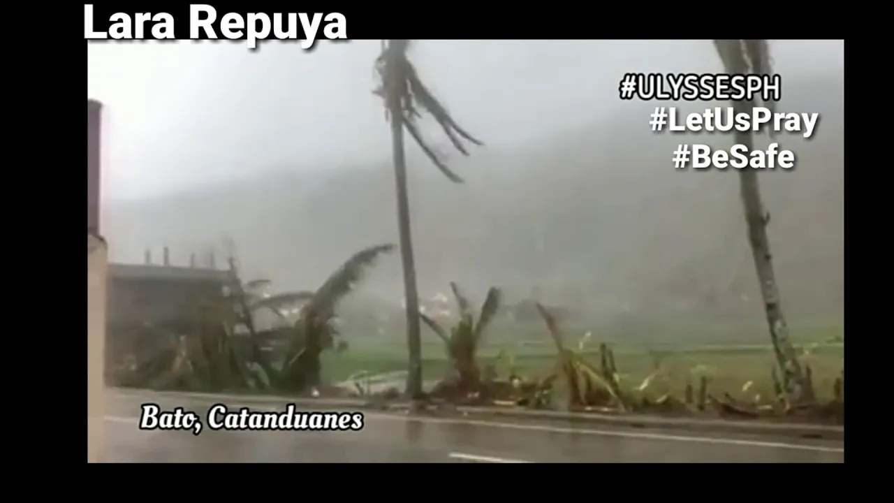 Bagyong  Ulysses!!malakas na ulan at hangin #PRAYFORBICOL #PRAYFORPHILIPPINES
