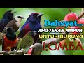 Download Lagu KOMBINASI MASTERAN PALING DI CARI JURI || murai batu kacer cucak ijo
