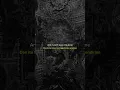 Download Lagu Evanescence - My Immortal (Official Lyric Audio) @Evanescence