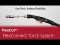 FlexConnect Torch One System Multiple Torch Head Configurations