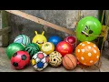 Download Lagu HUNTING BALON LUCU DAN BOLA BOLA 218